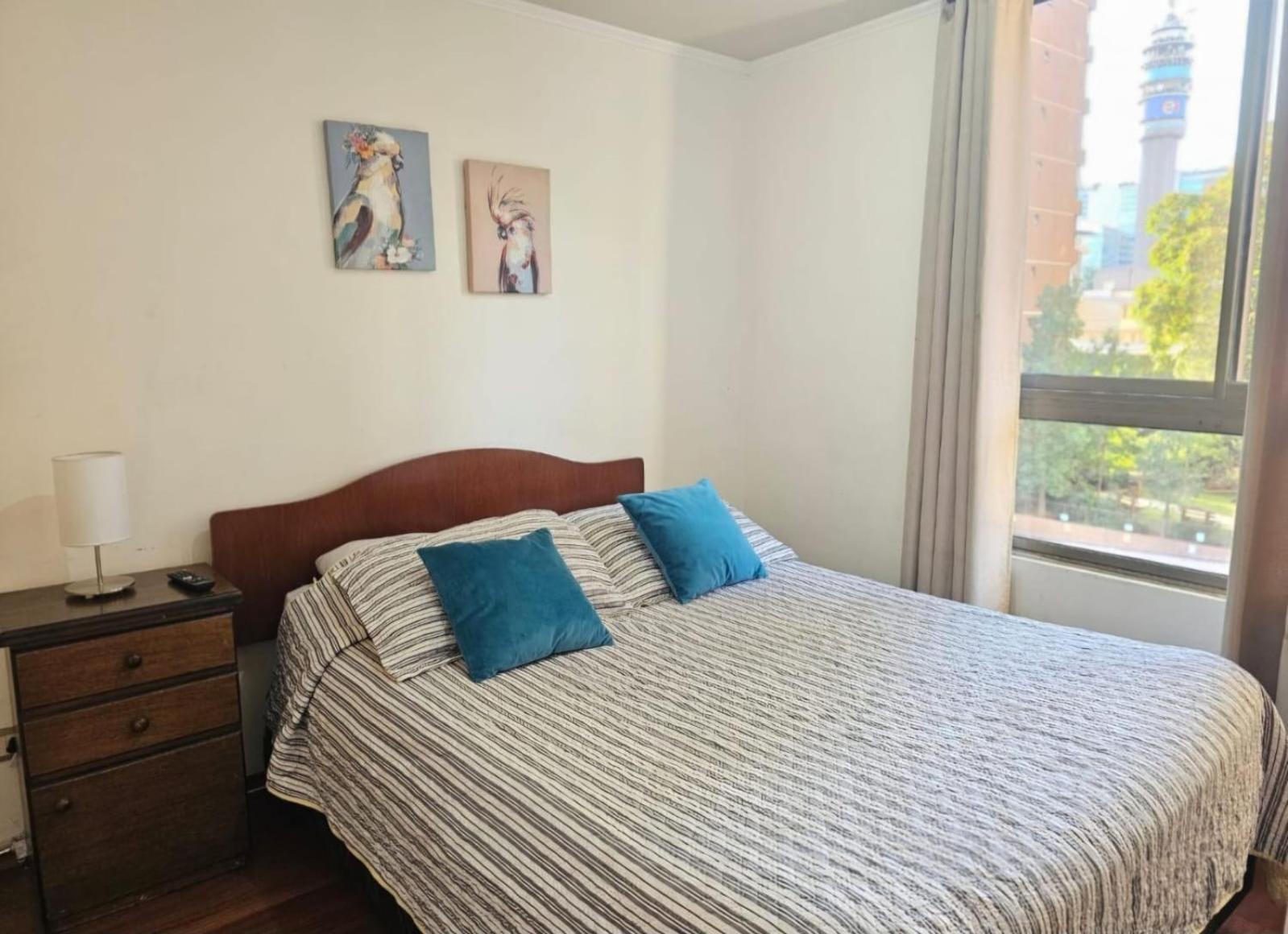 Apart Hotel Suagon Suites Santiago Centro Kültér fotó