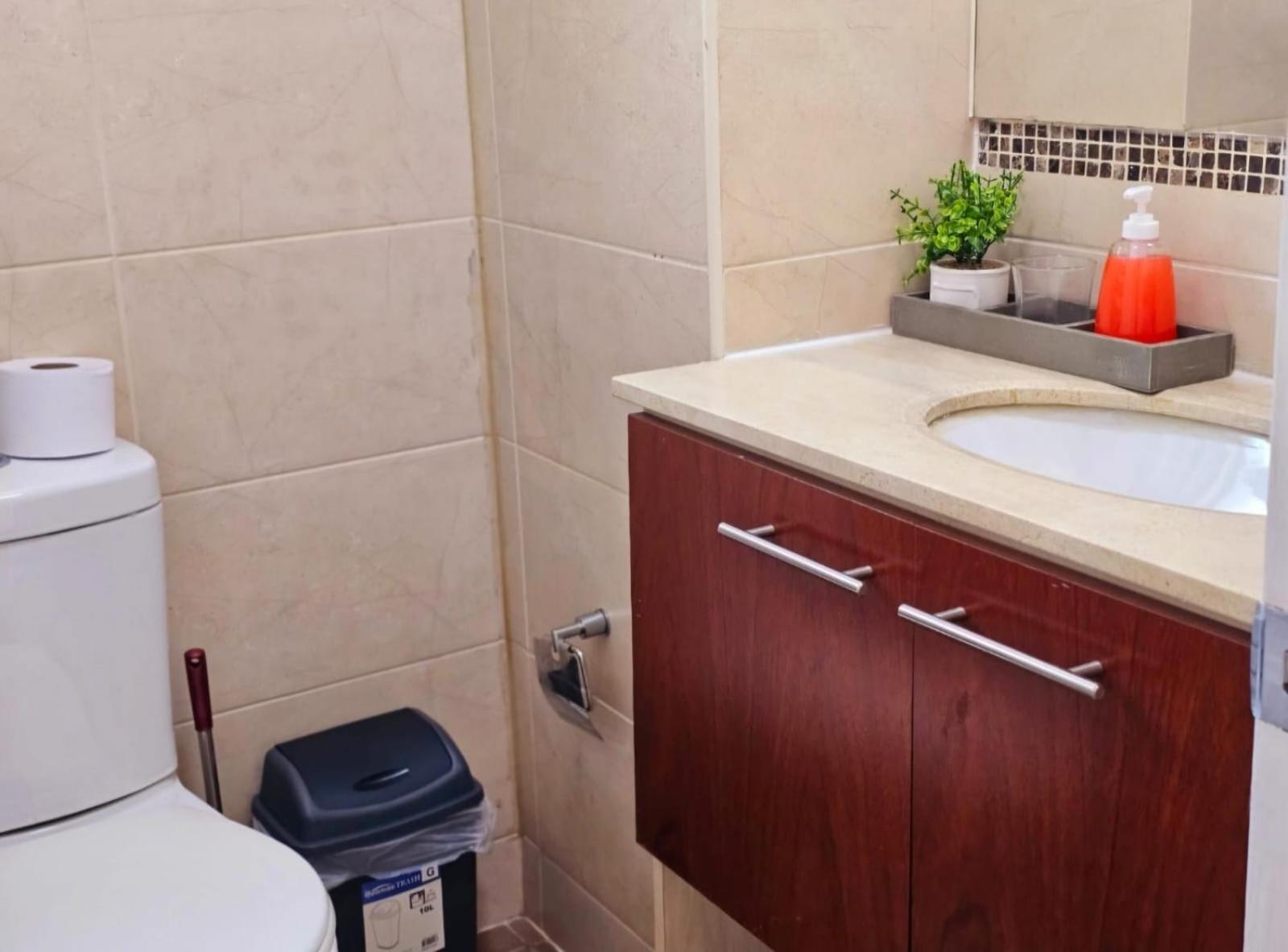 Apart Hotel Suagon Suites Santiago Centro Kültér fotó